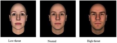 Social perception inferences of computer-generated faces: an Asian Indian and United States cultural comparison